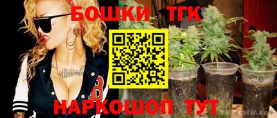 индика Будённовск