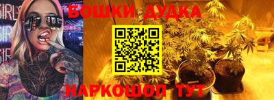 индика Будённовск