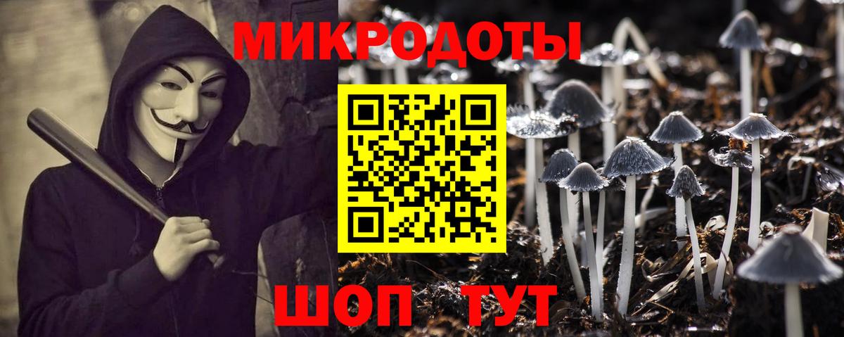 Псилоцибиновые грибы GOLDEN TEACHER Прохладный
