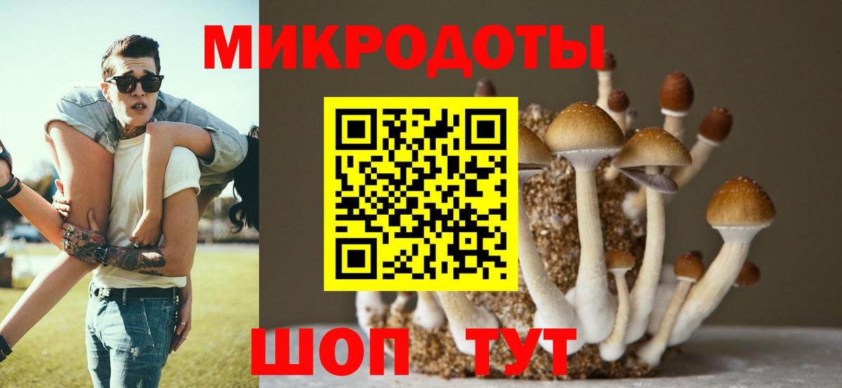 Псилоцибиновые грибы MAGIC MUSHROOMS  Вход с VPN  дарнет шоп  Прохладный 