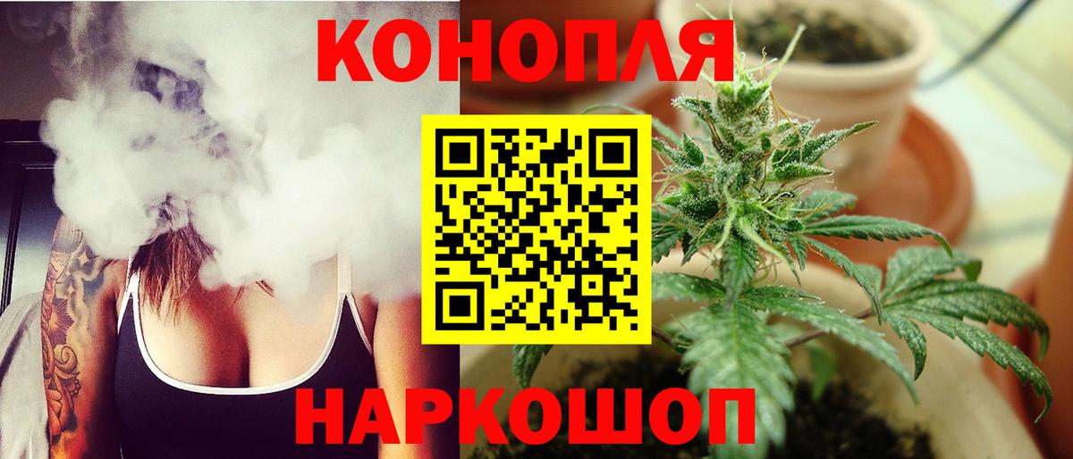Шишки марихуана марихуана Прохладный